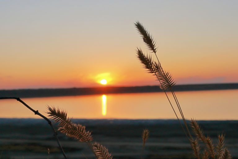 coucher de soleil sur l'Estuaire de la Gironde
